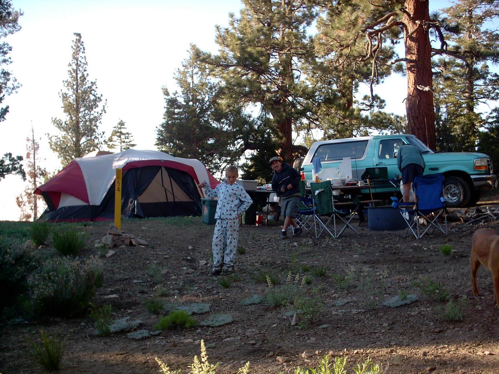 Camper submitted image from Yellow Post #54 - 3