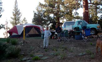 Mike M.'s photo of a dispersed camping area at Yellow Post #54 near Pioneertown, CA