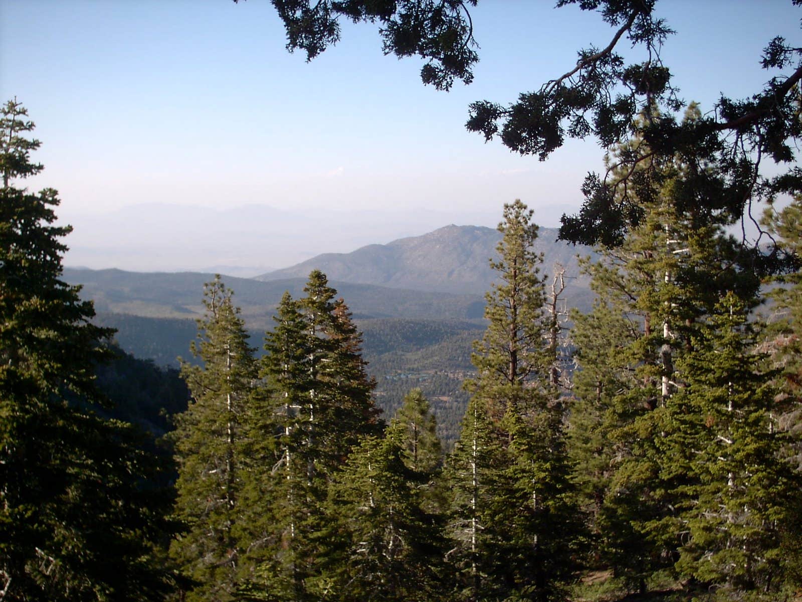 Camper-submitted photo at Yellow Post #54 near Big Bear Lake, CA