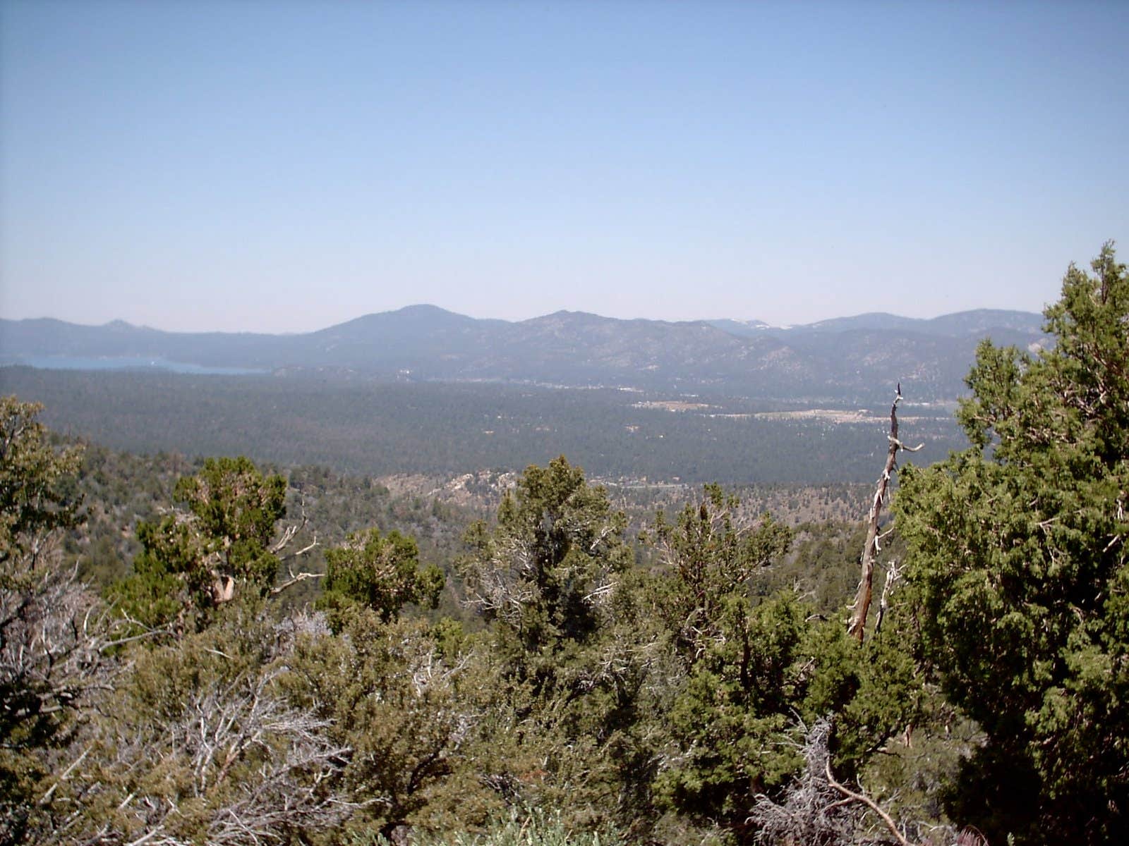 Camper-submitted photo at Yellow Post #54 near Big Bear Lake, CA