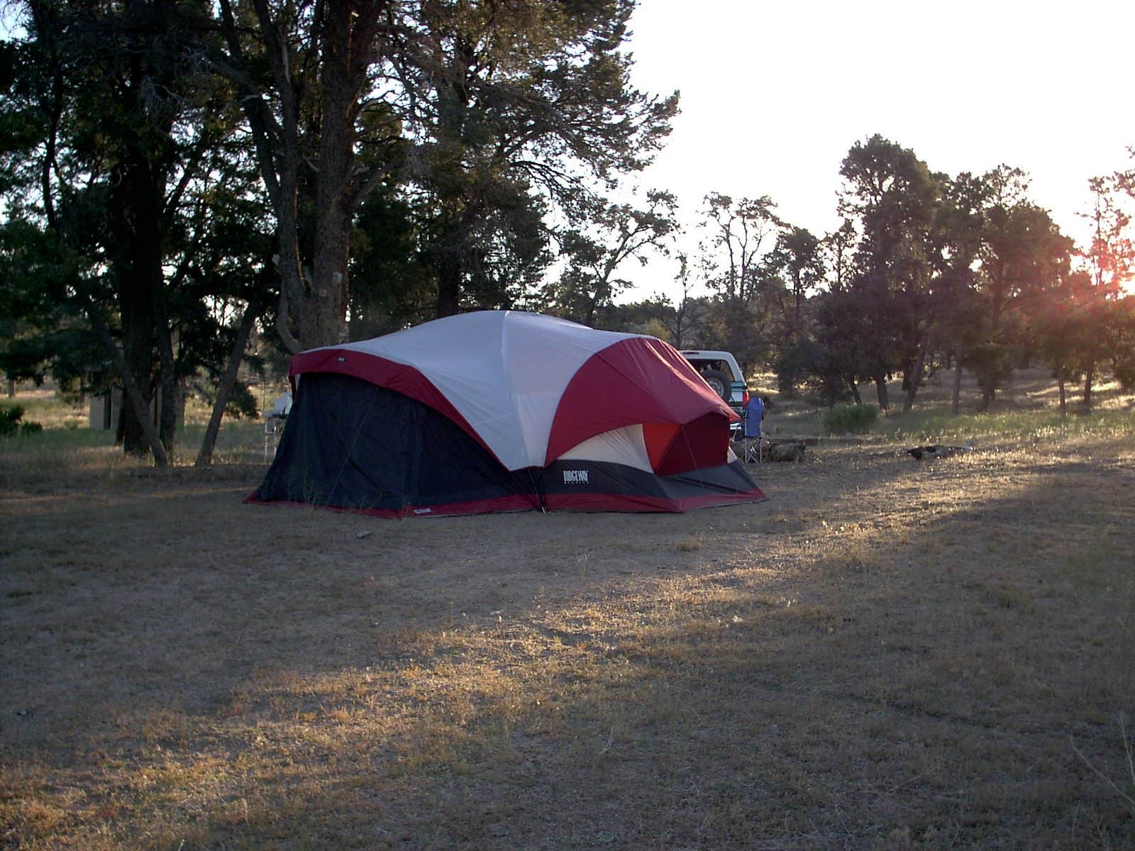 Camper submitted image from Horse Springs Camground - 5