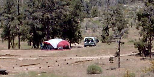 Camper submitted image from Horse Springs Camground