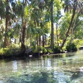 Review photo of Chassahowitzka River Campground by Kasey K., July 28, 2019