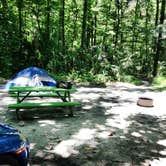 Review photo of Betty Long's Campground - PERMANENTLY CLOSED  by Kasey K., July 28, 2019