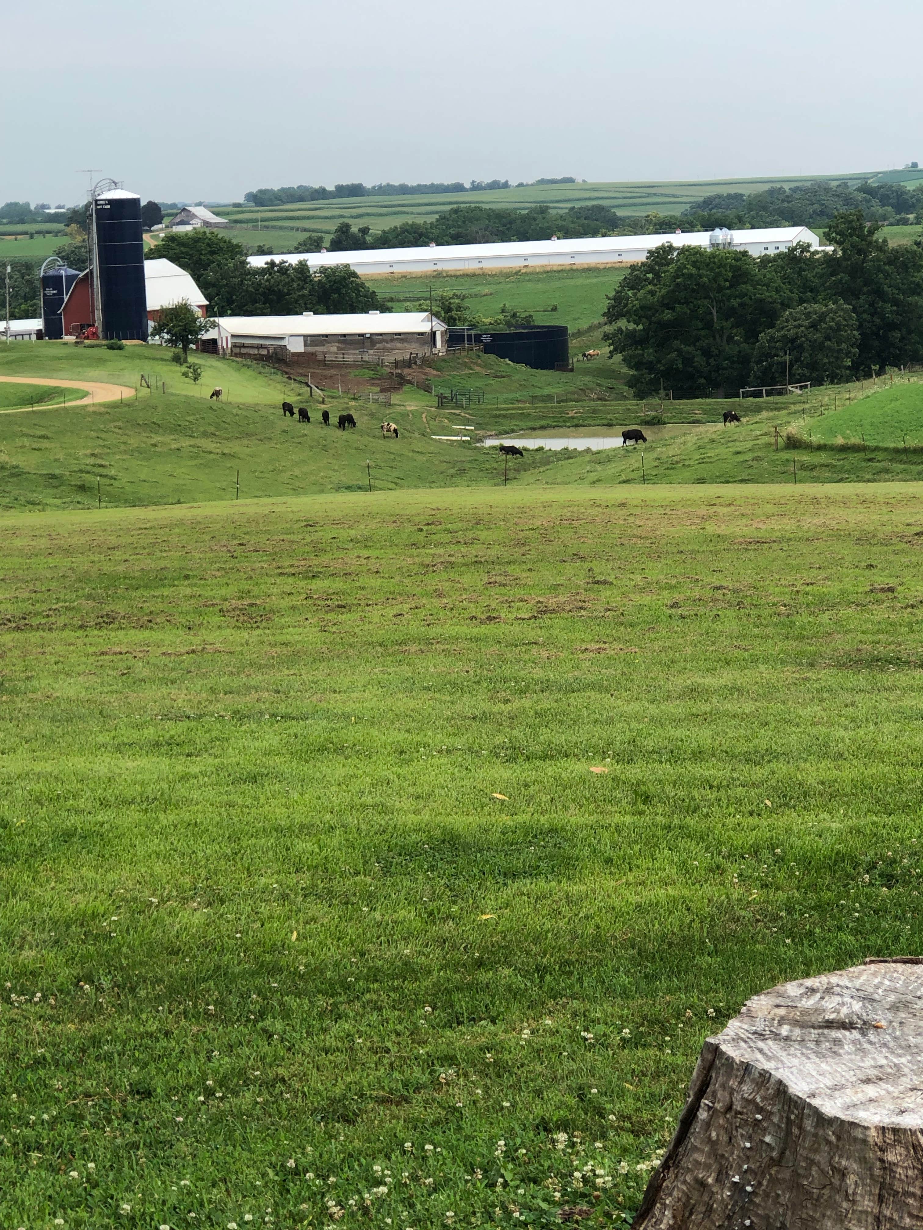 Camper-submitted photo at Rustic Barn Campground RV Park near Oxford Junction, IA