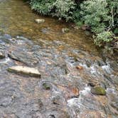 Review photo of Yamassee Indian Reservation by Erica , June 20, 2025