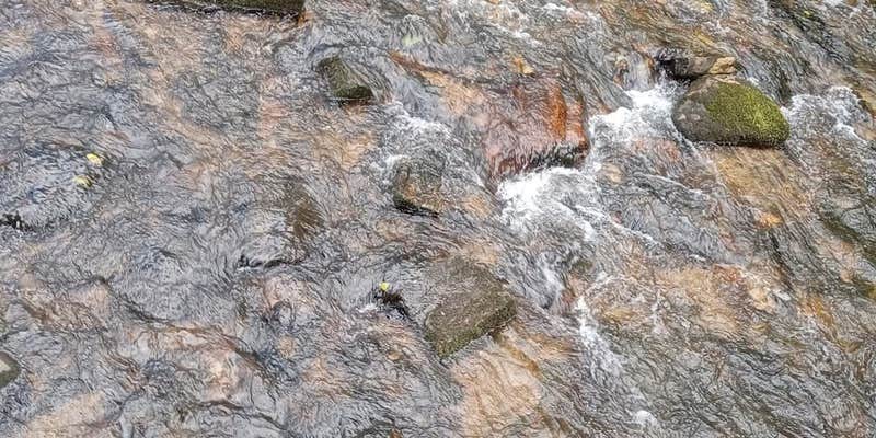 Camper submitted image from Yamassee Indian Reservation