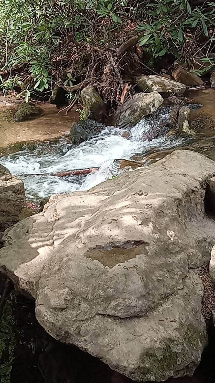 Camper-submitted photo at Yamassee Indian Reservation near Allendale, SC