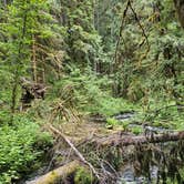Review photo of Camp Creek by Doug , June 20, 2025