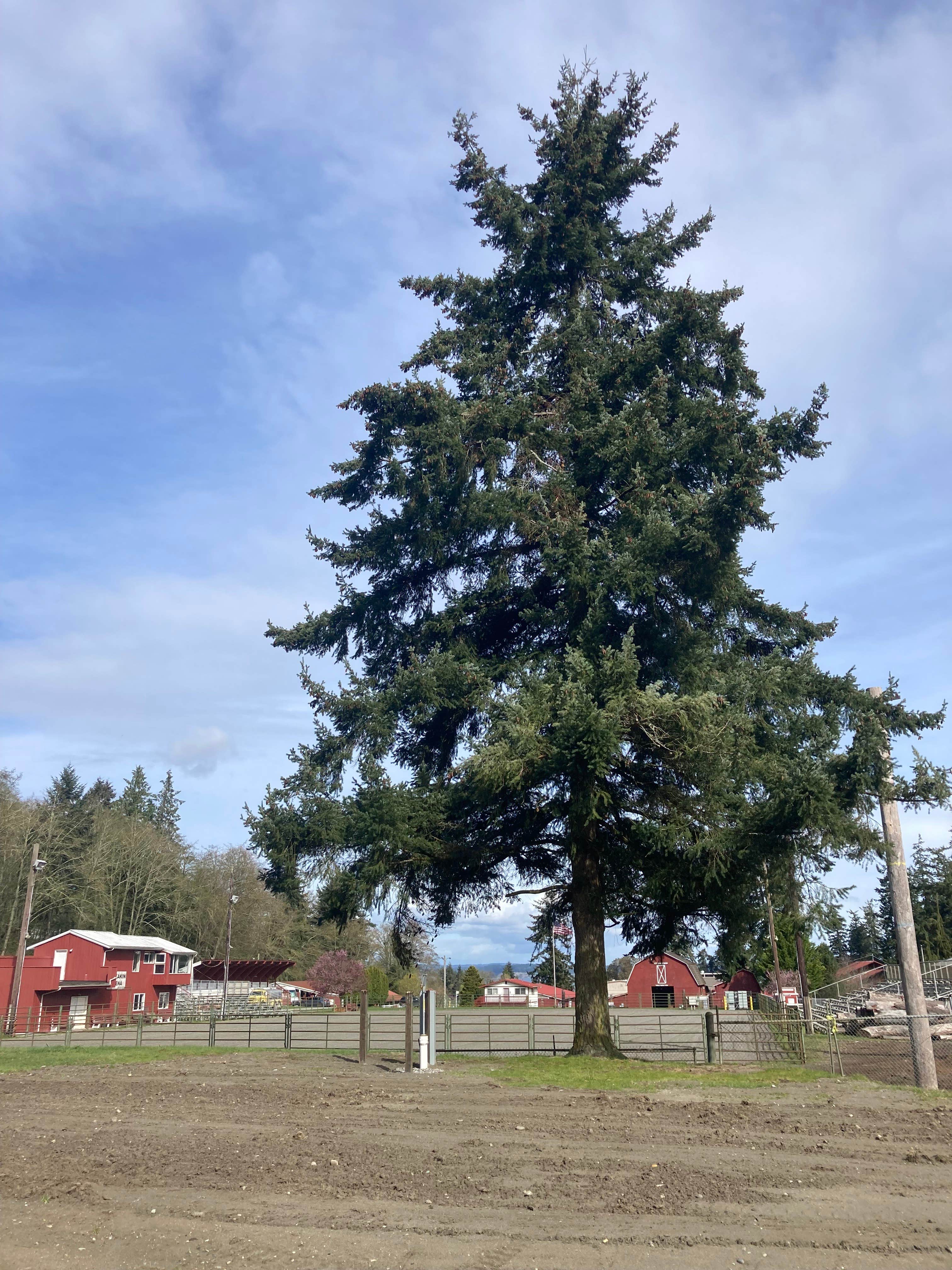 Camper-submitted photo at Whidbey Island Fairgrounds Campground near Everett, WA