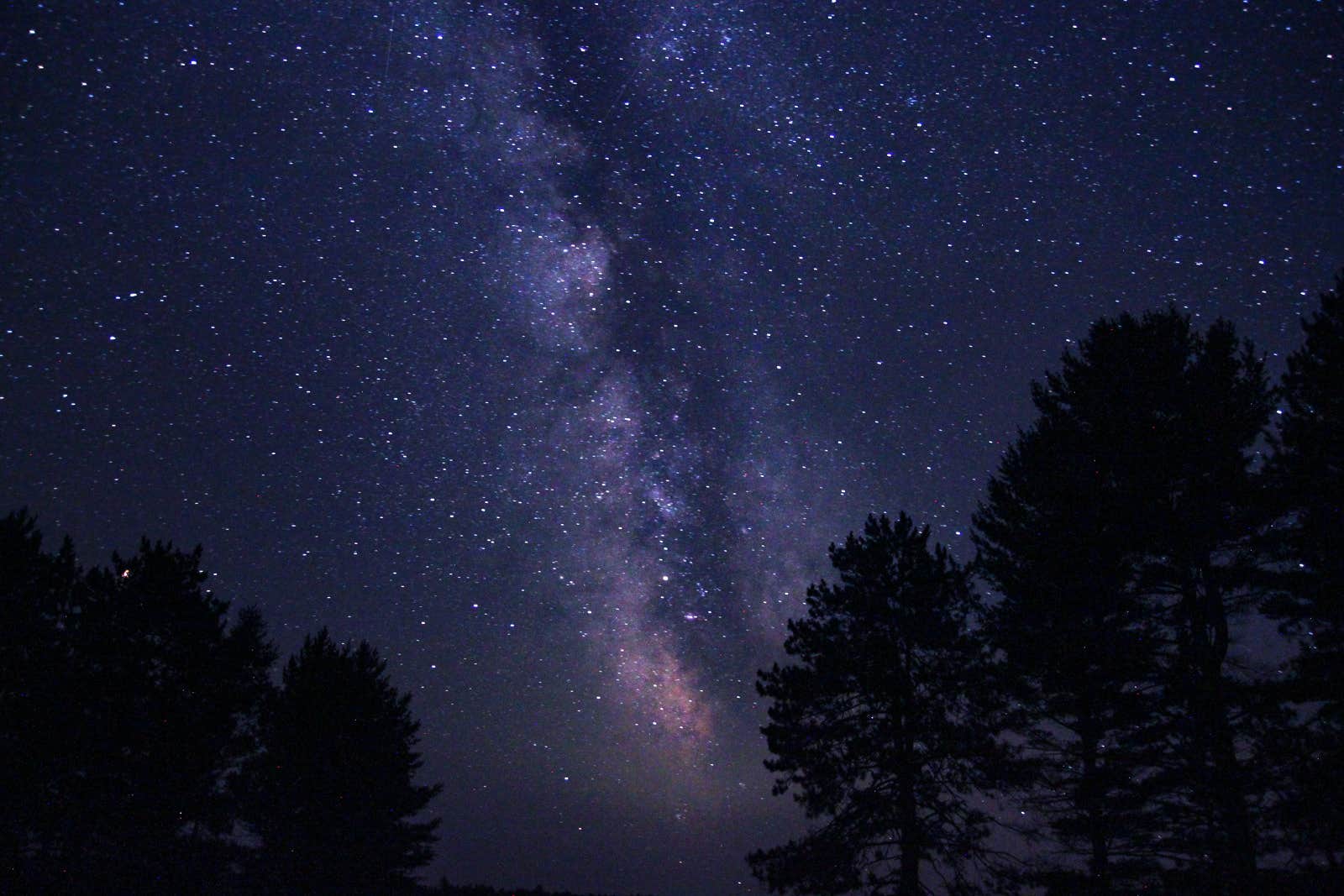 Camper submitted image from Culhane Lake State Forest Campground - 2