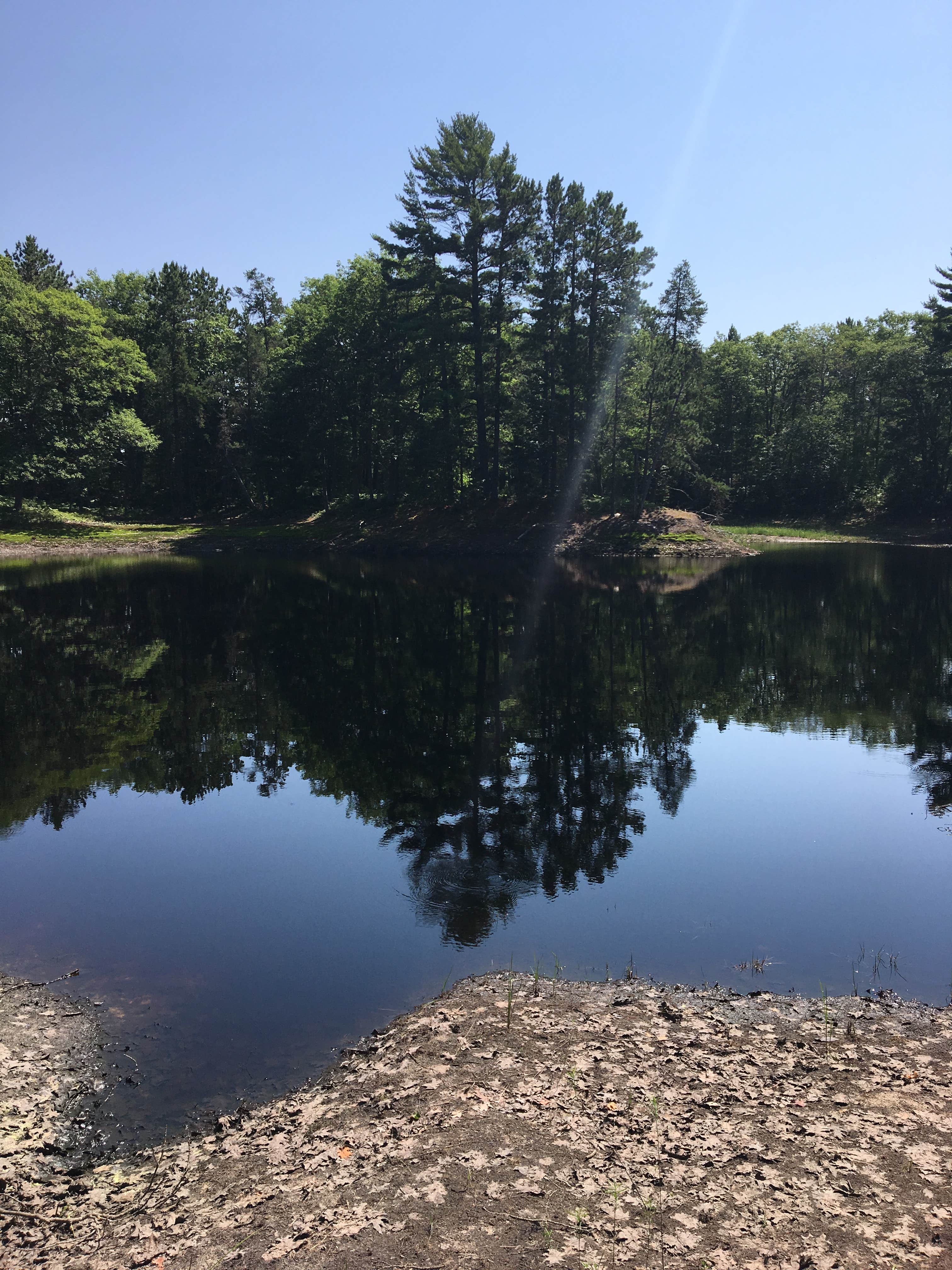 Camper submitted image from Culhane Lake State Forest Campground - 4