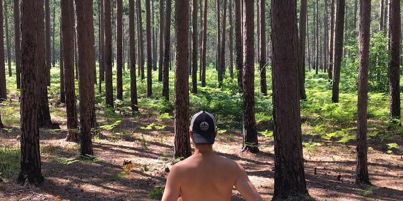 Camper submitted image from Culhane Lake State Forest Campground