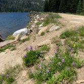 Review photo of Grouse Campground by Rileigh C., July 28, 2019