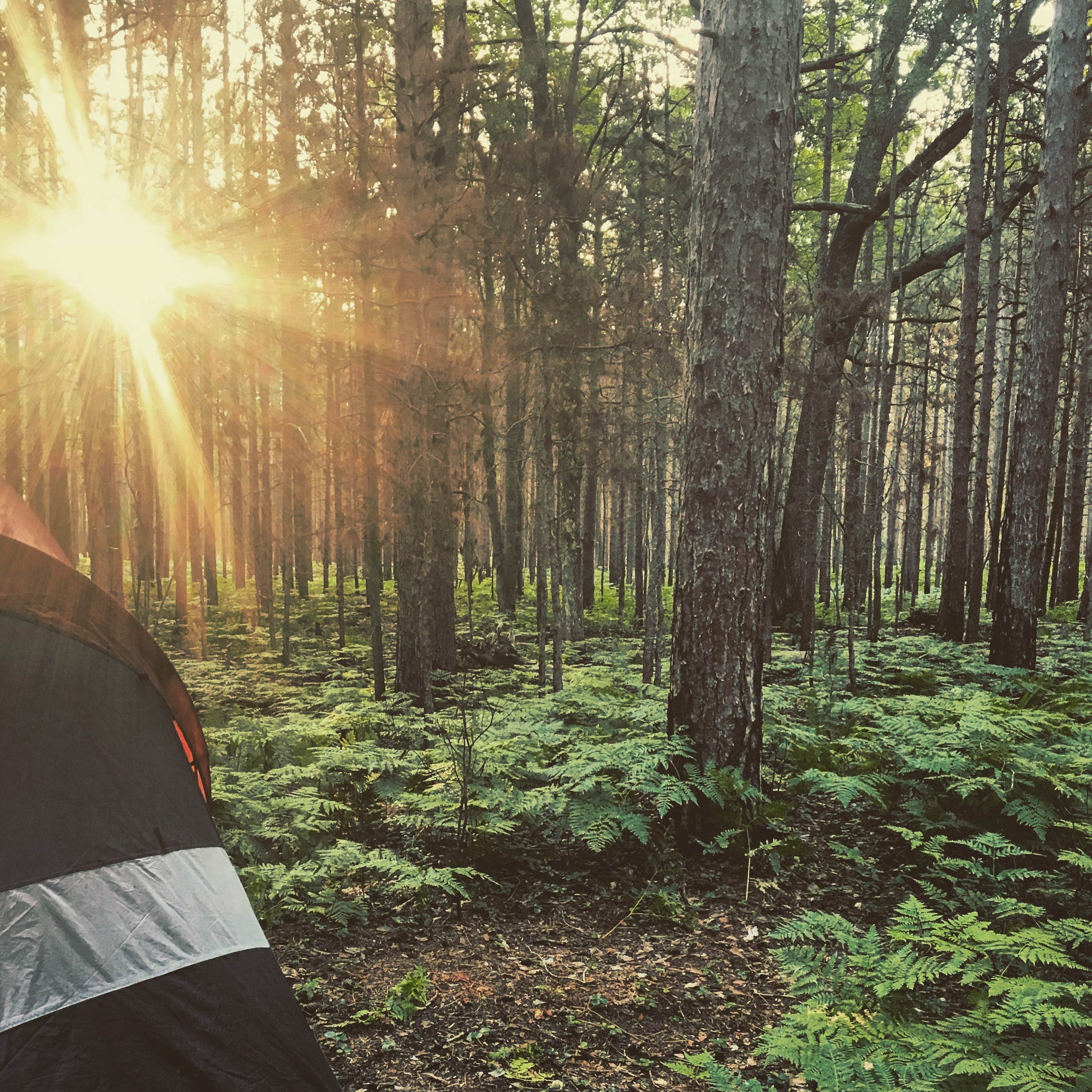 Camper submitted image from Pigeon River State Forest Campground - 5