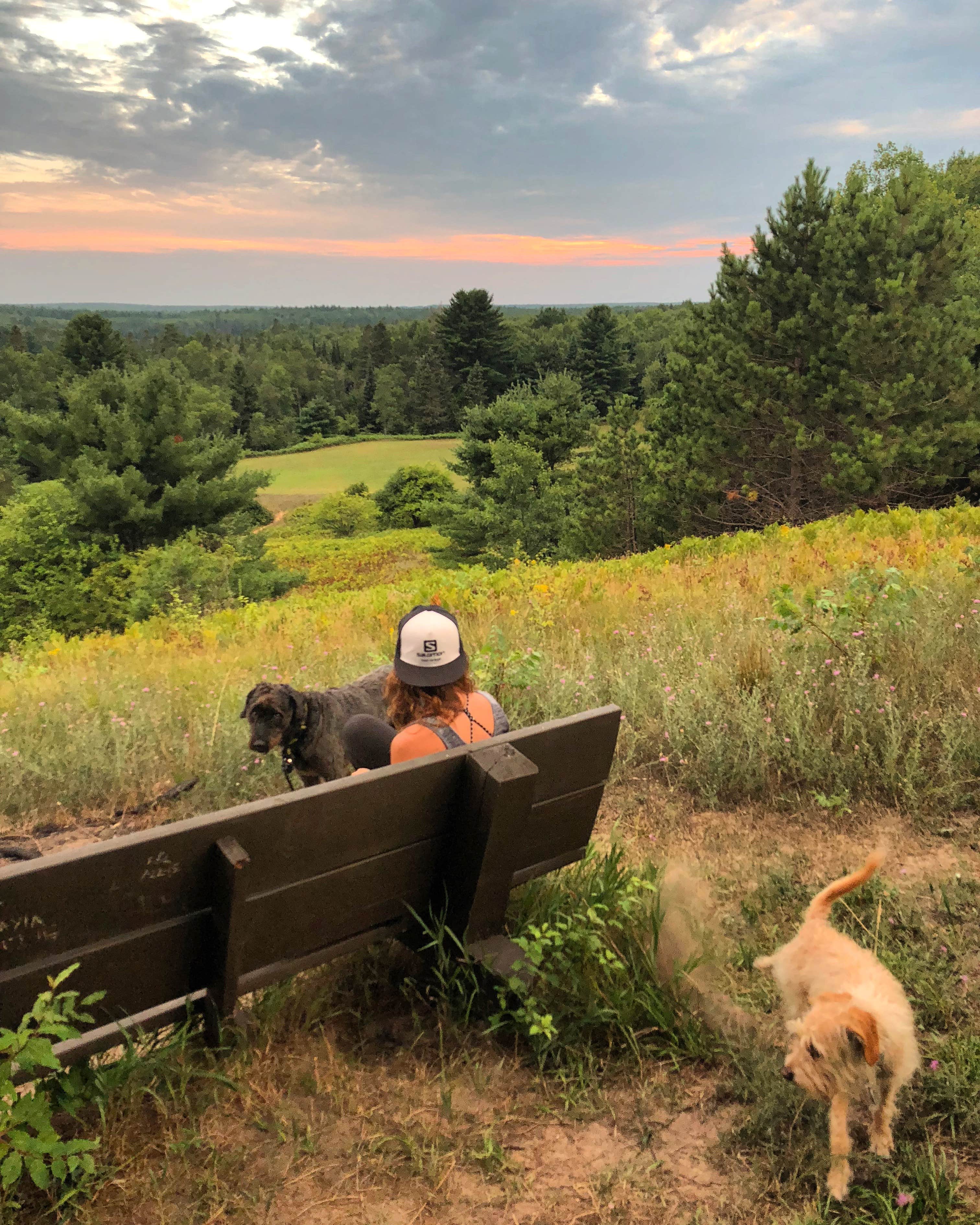 Camper submitted image from Pigeon River State Forest Campground - 5