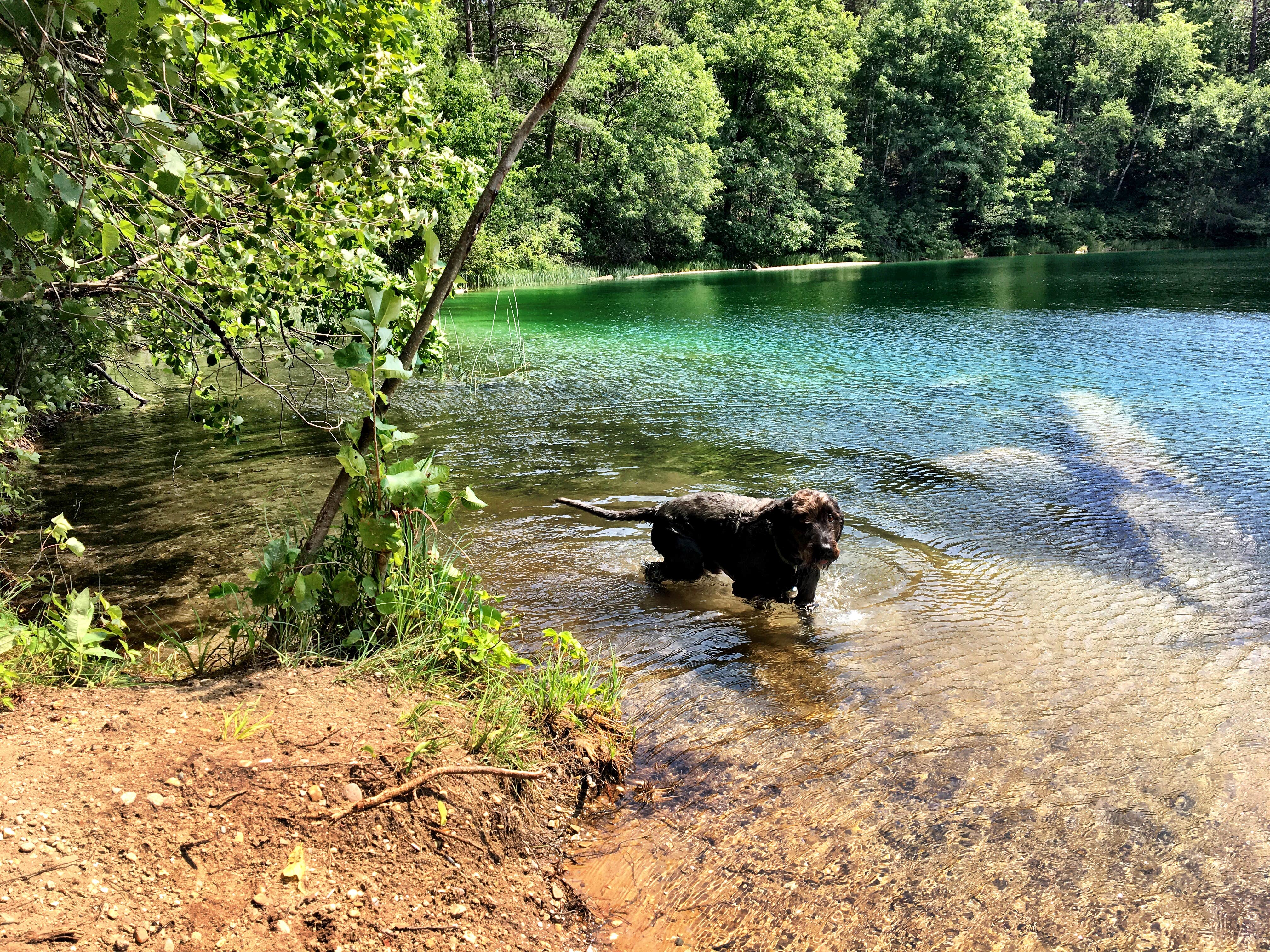 Camper submitted image from Pigeon River State Forest Campground - 3