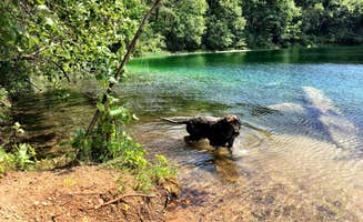Kate K.'s photo of camping with pets at Pigeon River State Forest Campground near Lewiston, MI