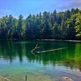 Review photo of Pigeon River State Forest Campground by Kate K., July 28, 2019