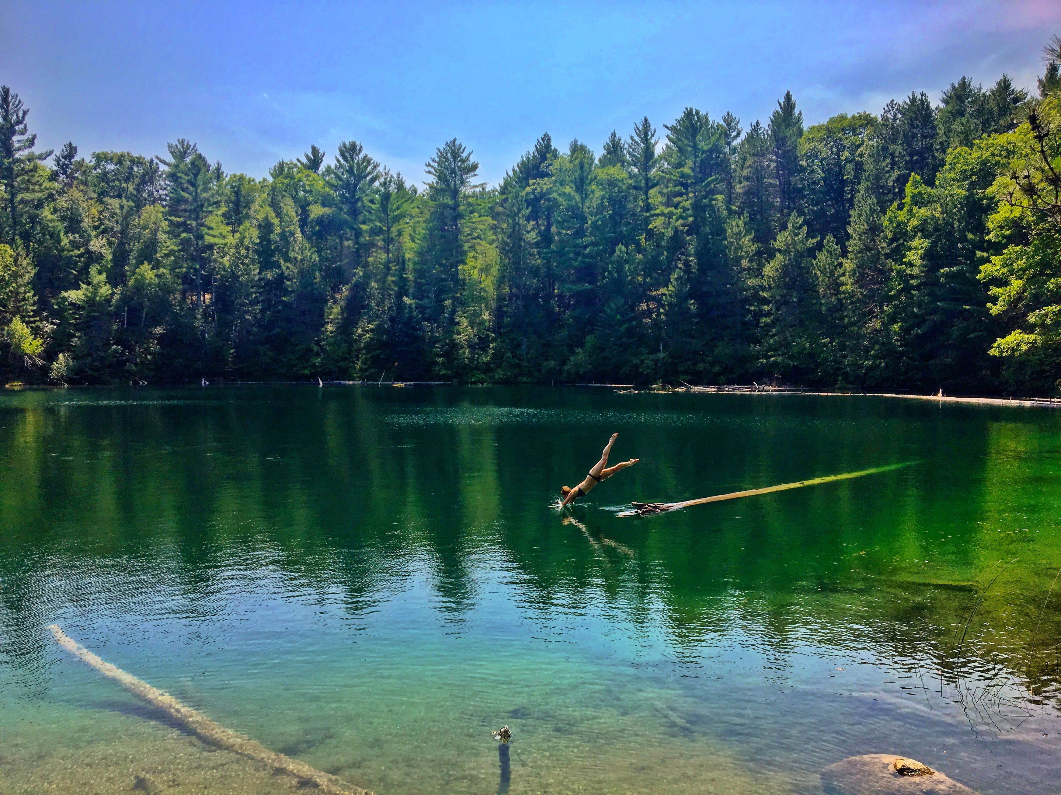 Pigeon River State Forest Campground The Dyrt