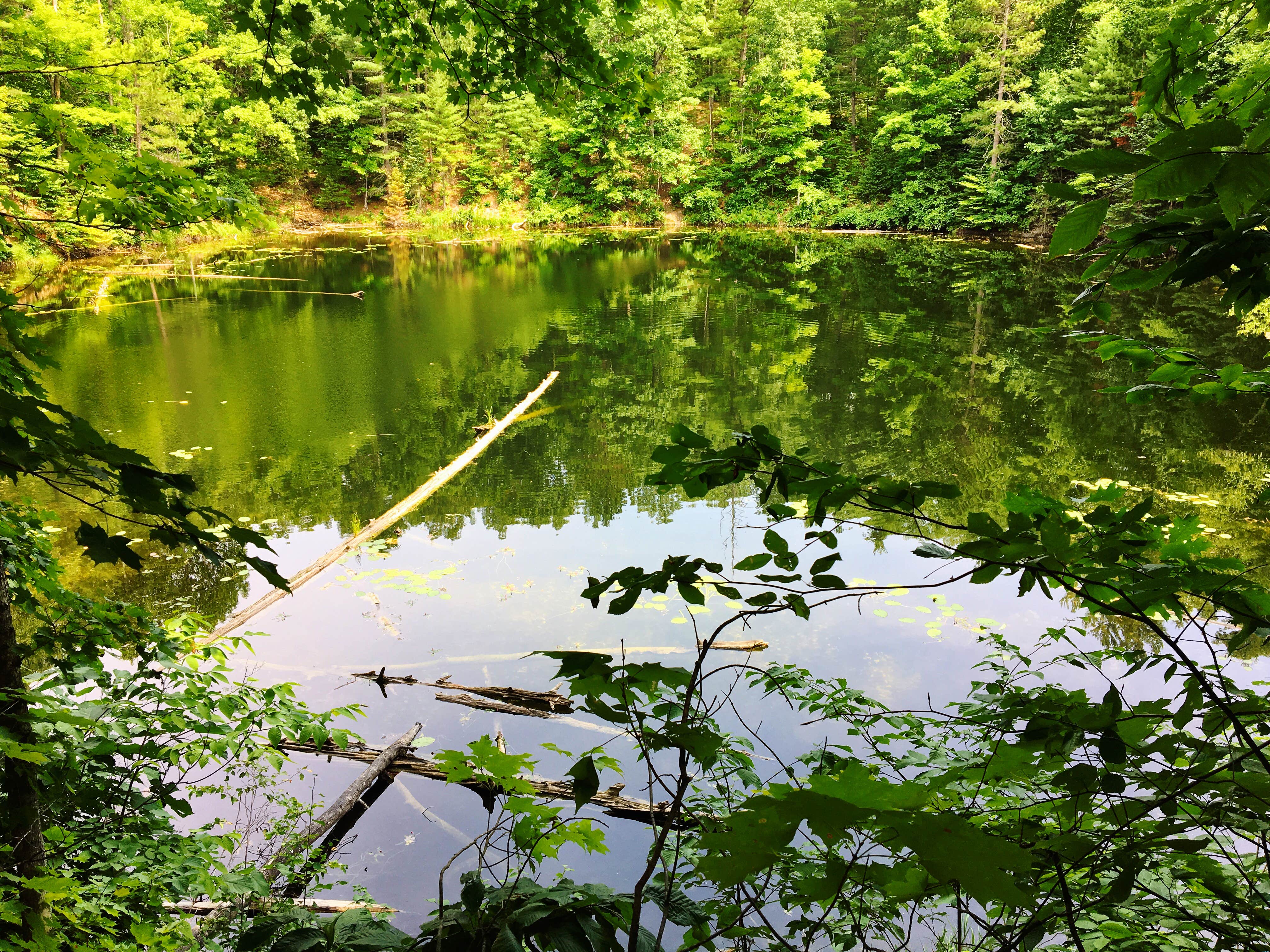 Camper-submitted photo at Pigeon River State Forest Campground near Mackinac Island, MI
