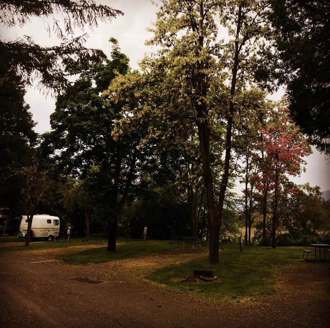 Johnny G.'s photo of rv camping at Shadey Acres Trailor & RV Park near Jacksonville, OR