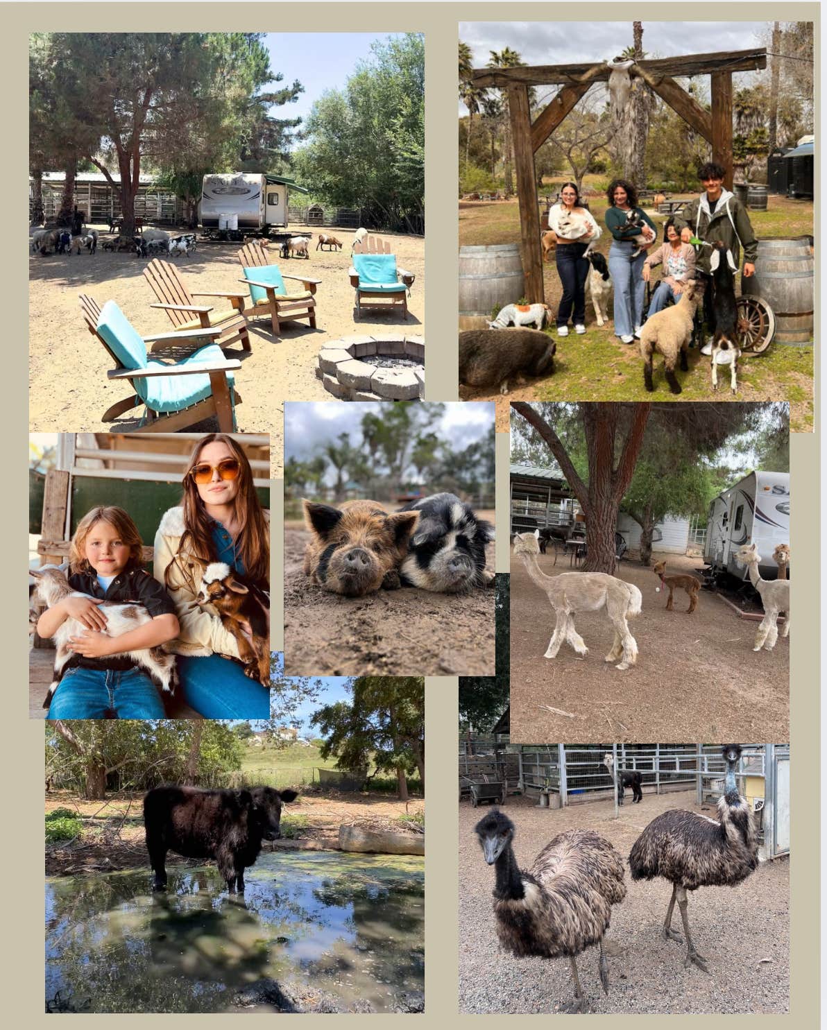 Camping near Via Del Gavilan Camp: Dirty Bird Ranch, Fallbrook, California