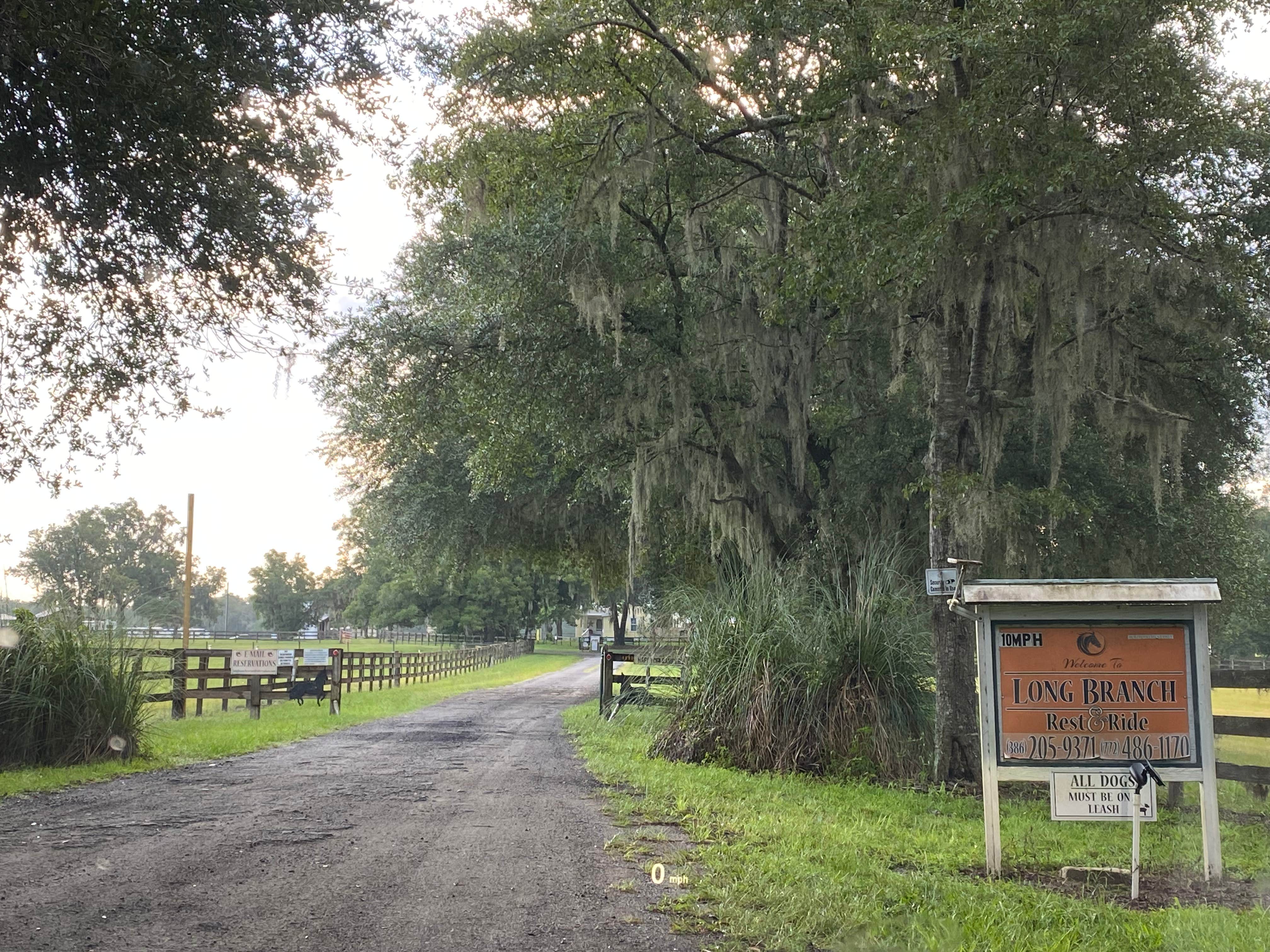 Camper submitted image from Long Branch Rest & Ride RV & Horse Park - 2