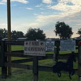 Review photo of Long Branch Rest & Ride RV & Horse Park by Stuart K., June 21, 2025