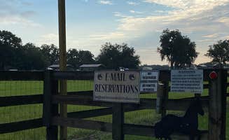 Stuart K.'s photo of camping with a horse at Long Branch Rest & Ride RV & Horse Park in Florida