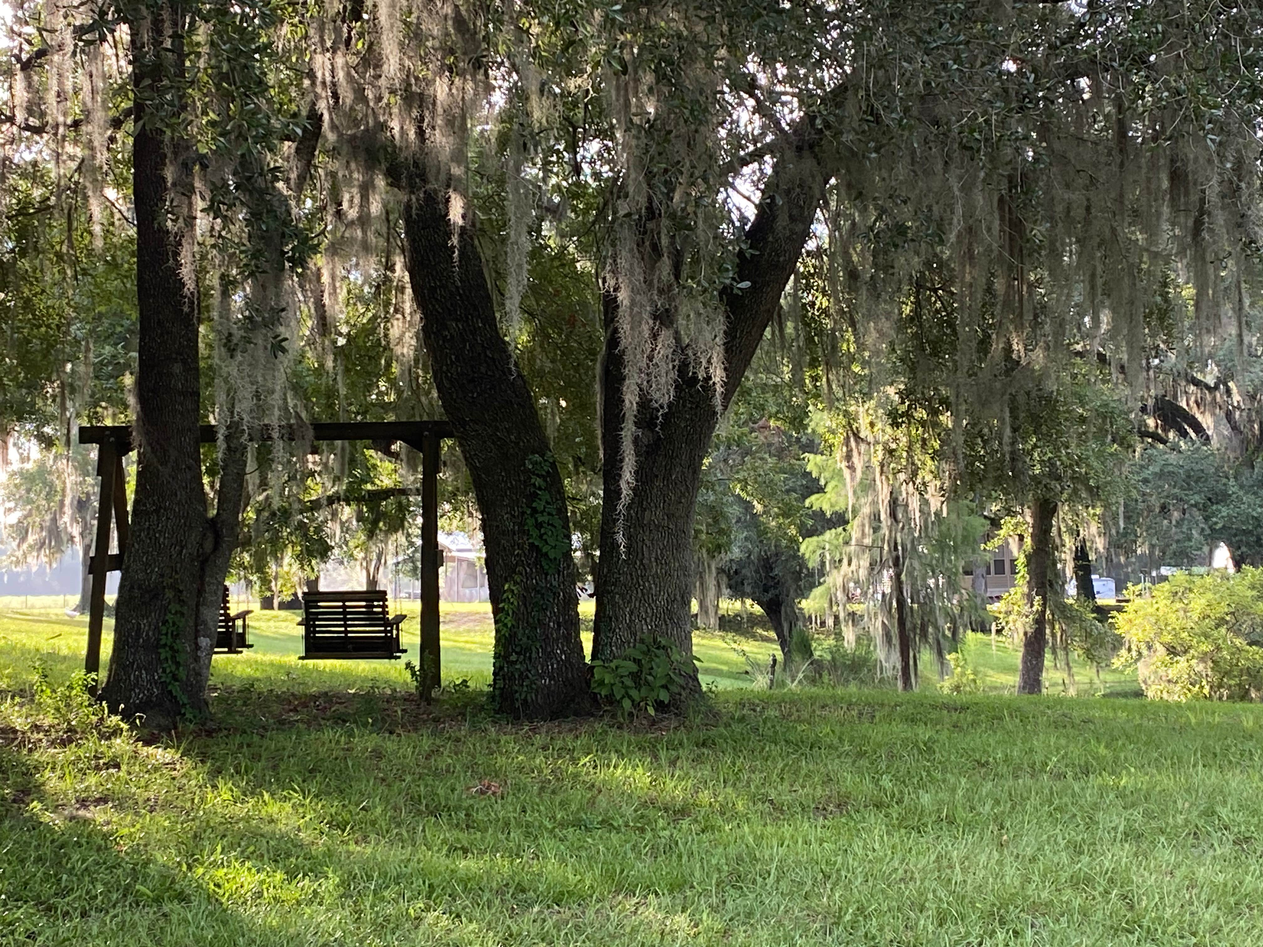 Camper-submitted photo at Long Branch Rest & Ride RV & Horse Park near Live Oak, FL