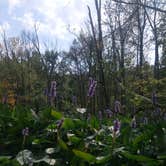 Review photo of Chain O' Lakes State Park Campground by Angela B., July 28, 2019