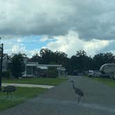 Review photo of Red Oaks Campgrounds by Stuart K., June 21, 2025