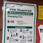 Review photo of Wetmore Campground by Laura M., June 21, 2025