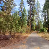 Review photo of Wetmore Campground by Laura M., June 21, 2025