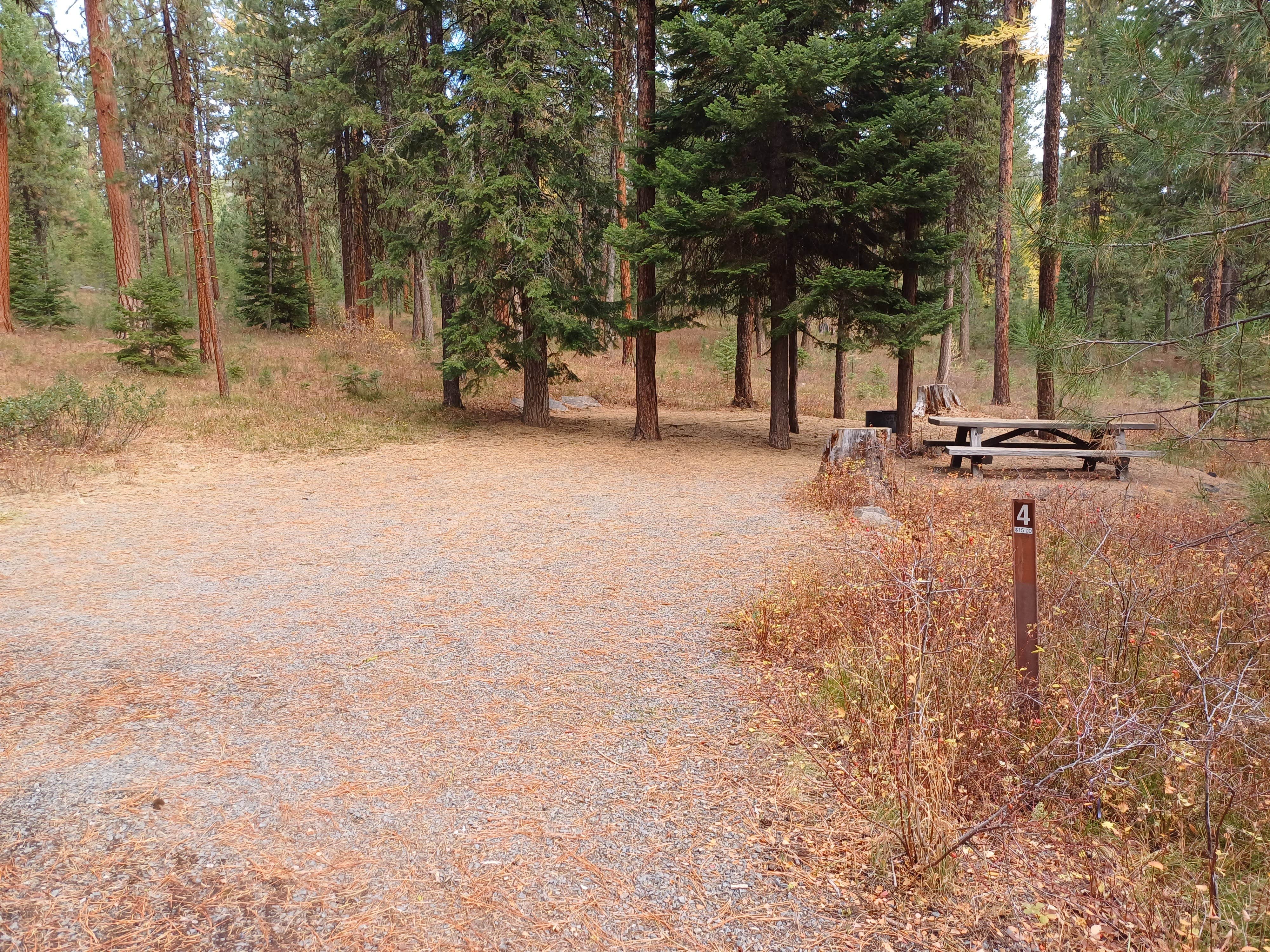 Camper submitted image from Wetmore Campground - 4