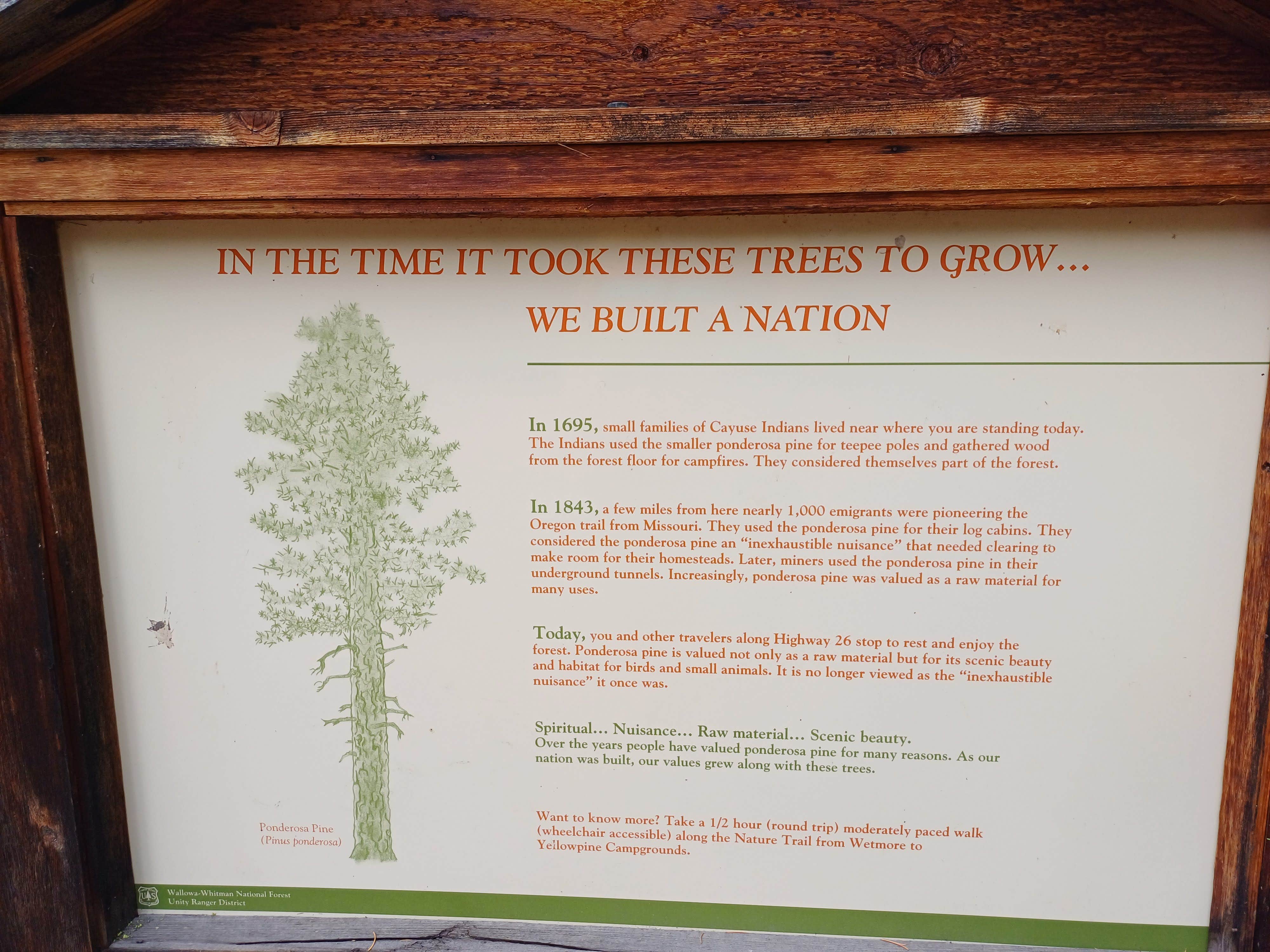 Camper-submitted photo at Wetmore Campground near Unity, OR