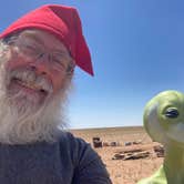 Review photo of Alien Acres by Cobalt B., June 21, 2025