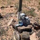 Review photo of Alien Acres by Cobalt B., June 21, 2025