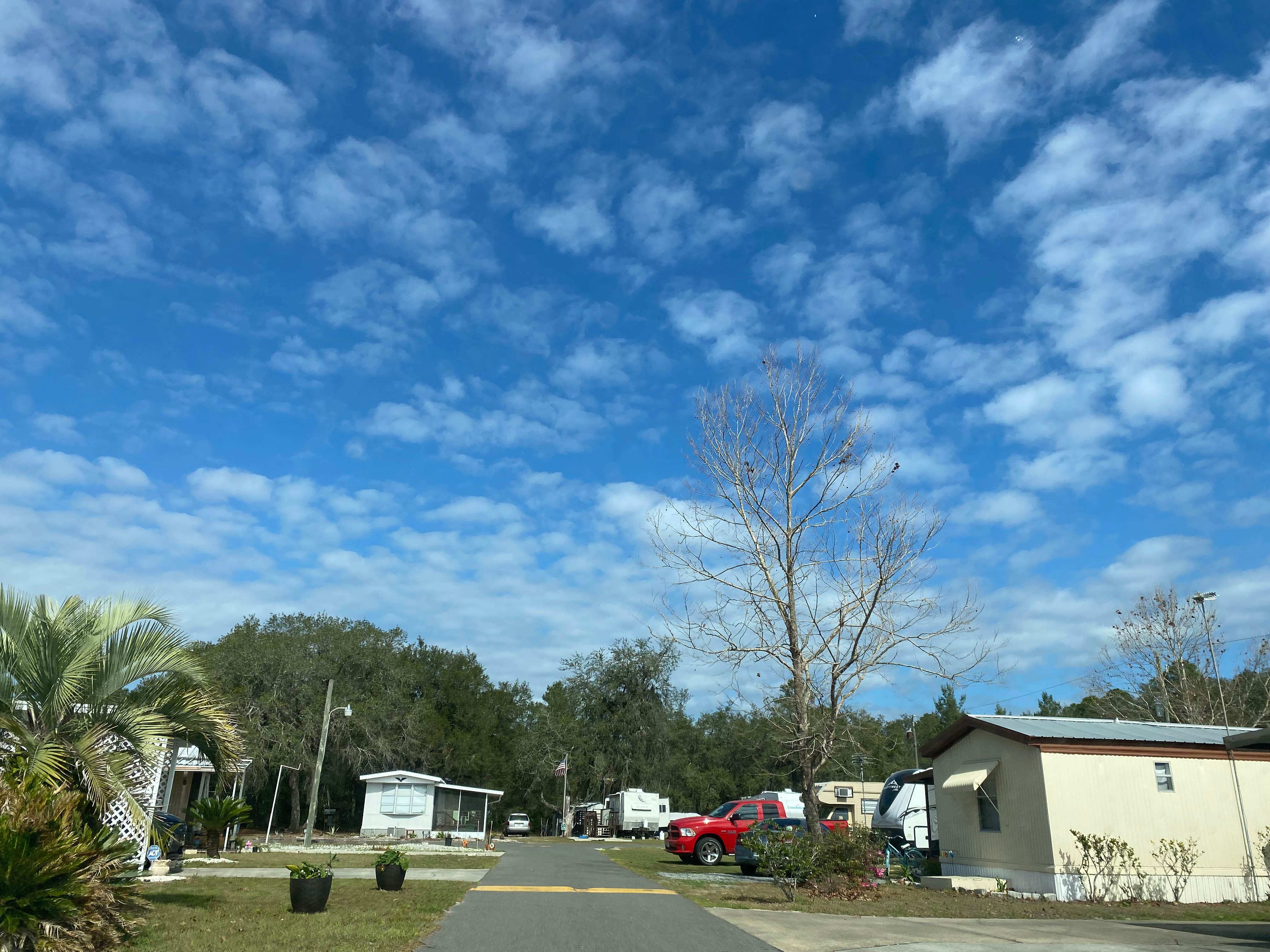Camper submitted image from Bass Capital RV Park - 5