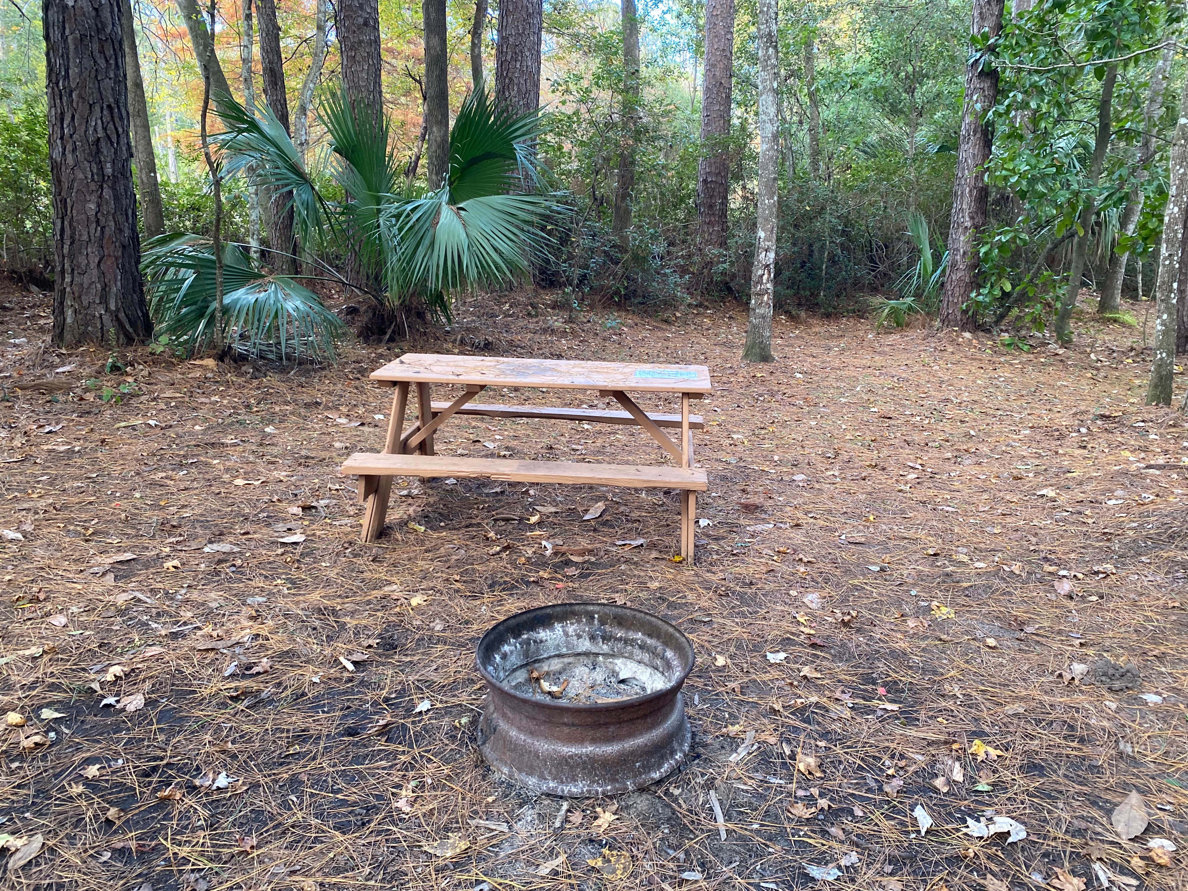 Camper-submitted photo at Ocklawaha Canoe Outpost & Resort near Welaka, FL