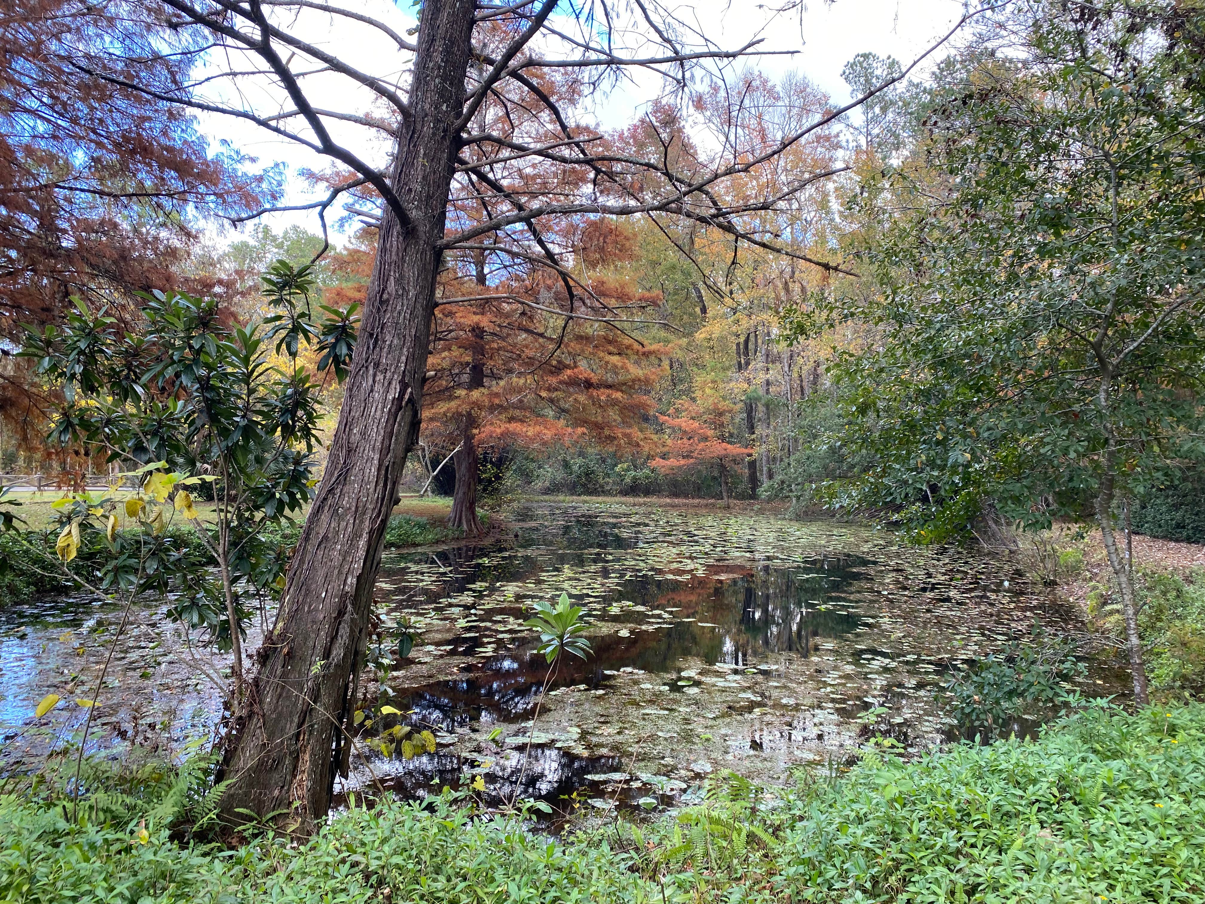 Camper-submitted photo at Ocklawaha Canoe Outpost & Resort near Welaka, FL