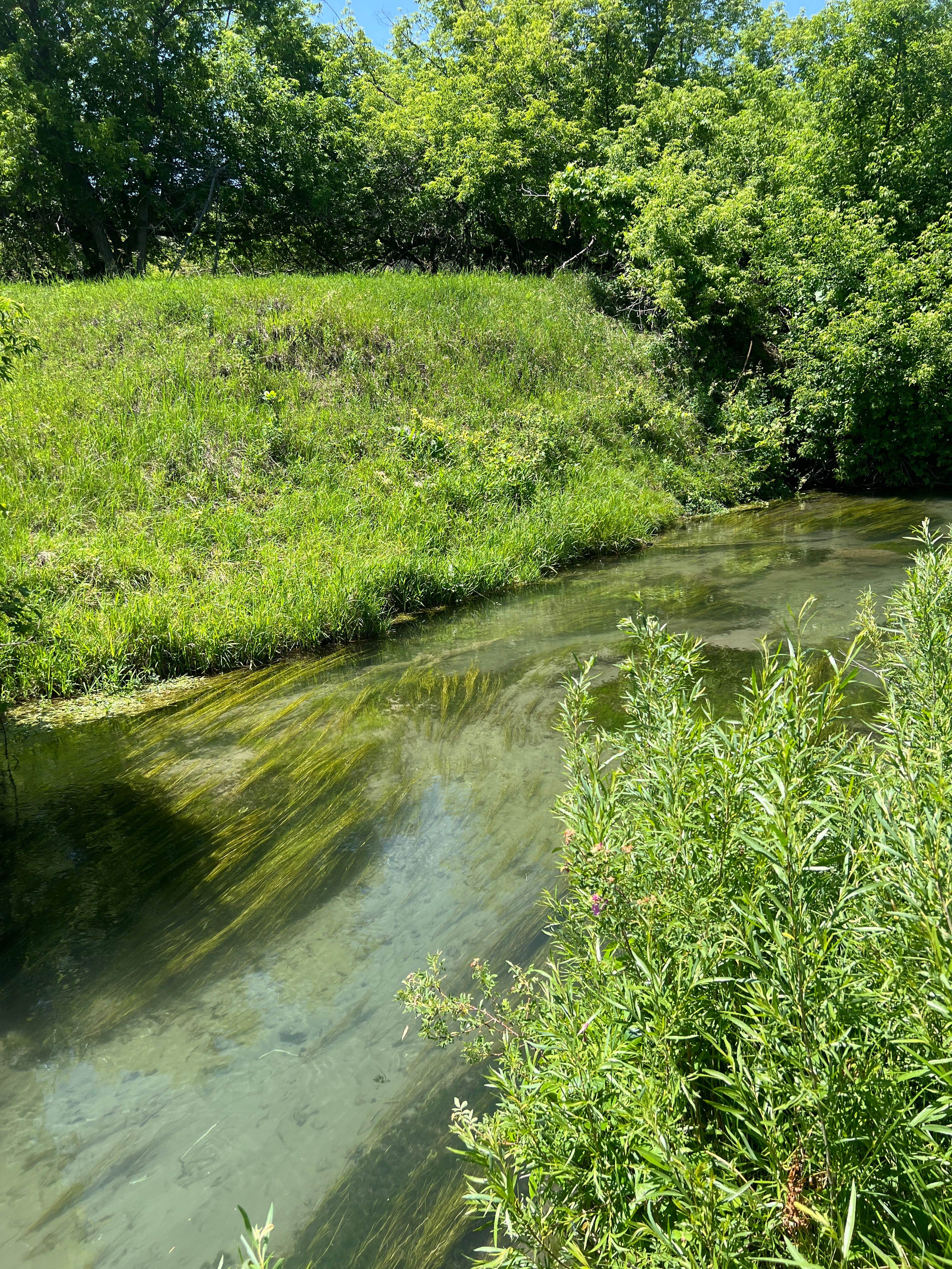 Camper-submitted photo at Sand Creek Public Access West Oxbow Dispersed Camping near Belle Fourche, SD