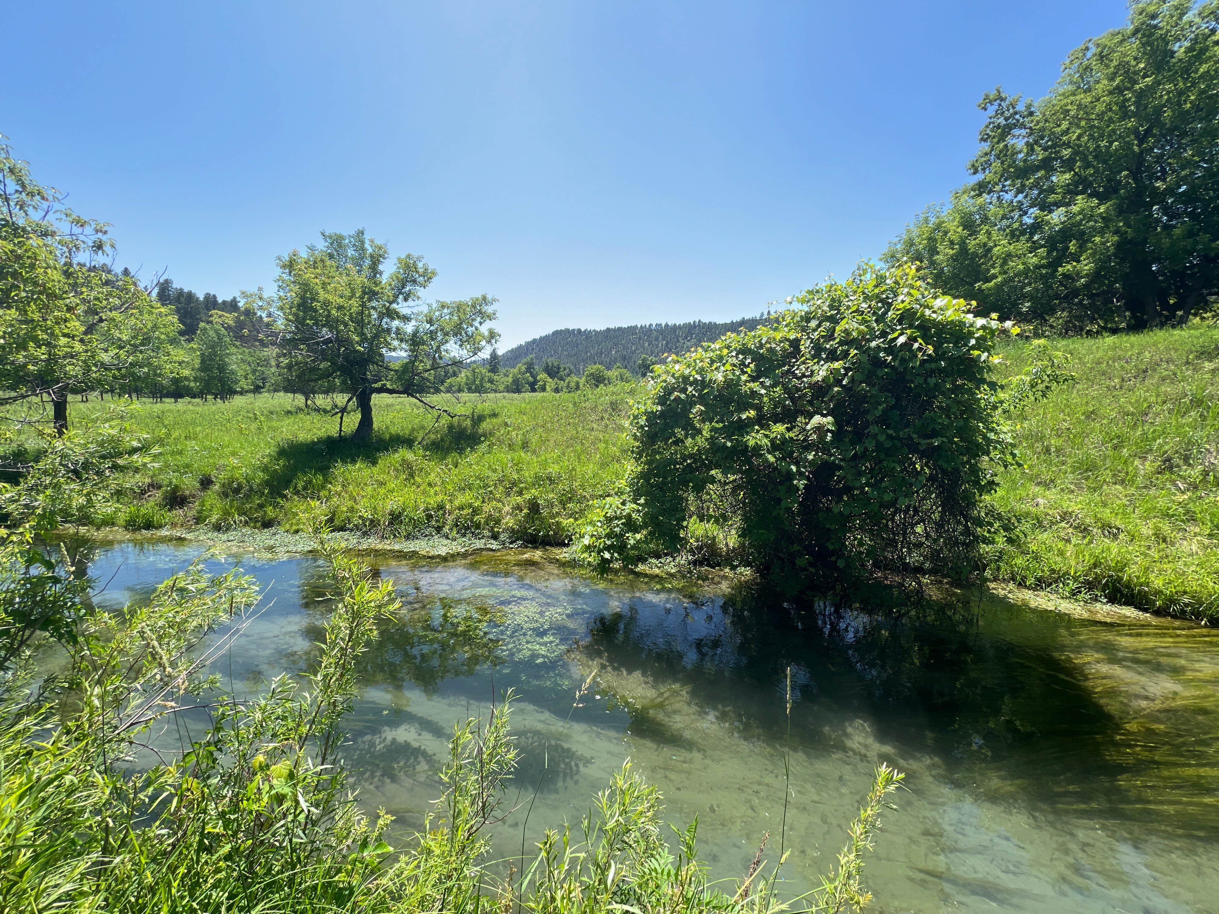 Camper-submitted photo at Sand Creek Public Access West Oxbow Dispersed Camping near Belle Fourche, SD