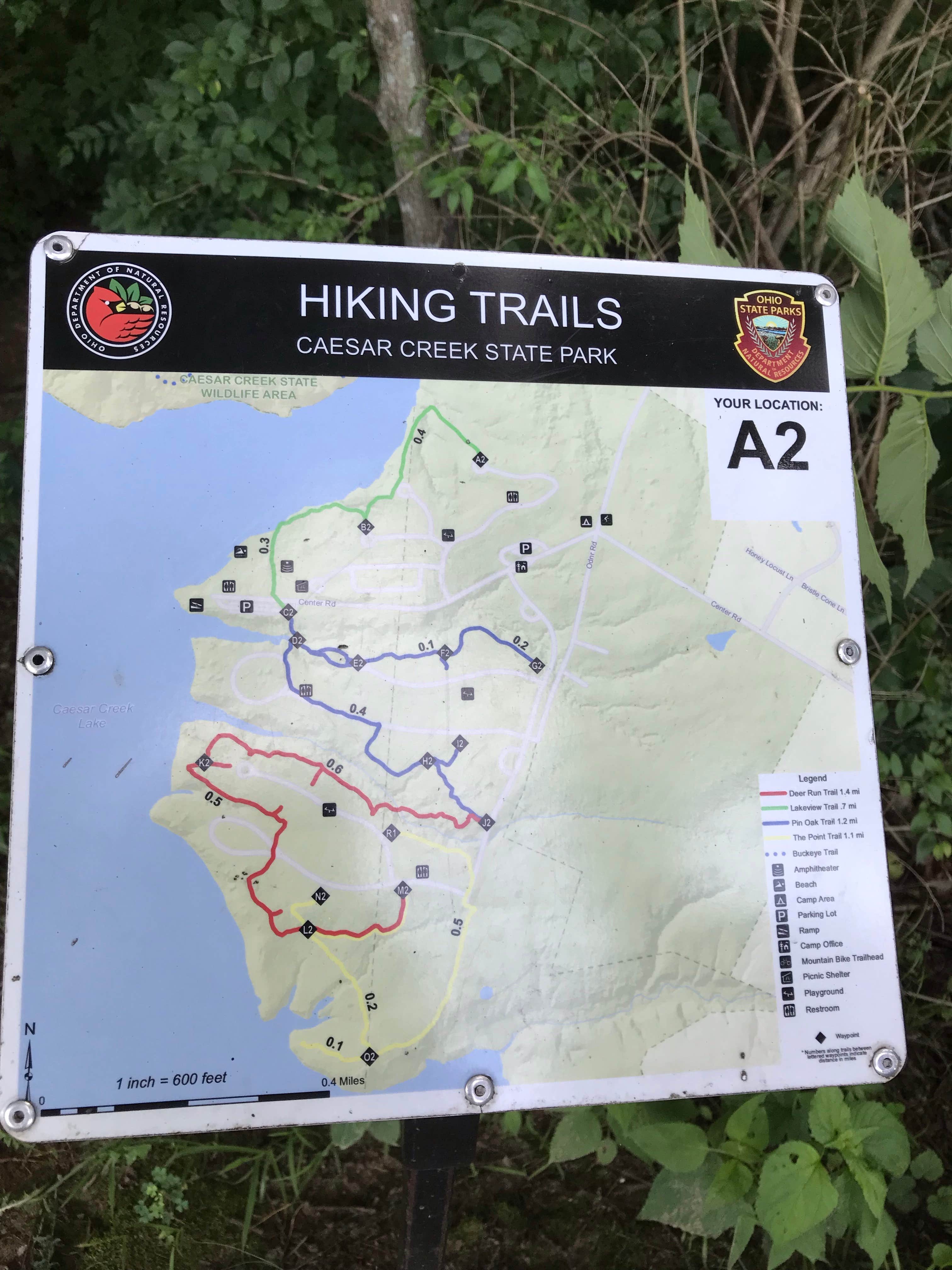 Signs & Maps