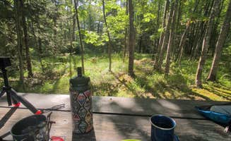 Tori K.'s photo at Big Bay State Park Campground near Washburn, WI