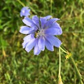 Review photo of Caesar Creek State Park Campground by Shannon G., July 28, 2019