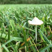 Review photo of Caesar Creek State Park Campground by Shannon G., July 28, 2019