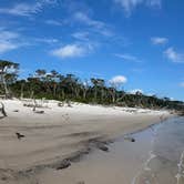 Review photo of Little Talbot Island State Park Campground by Stuart K., June 22, 2025
