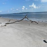 Review photo of Little Talbot Island State Park Campground by Stuart K., June 22, 2025
